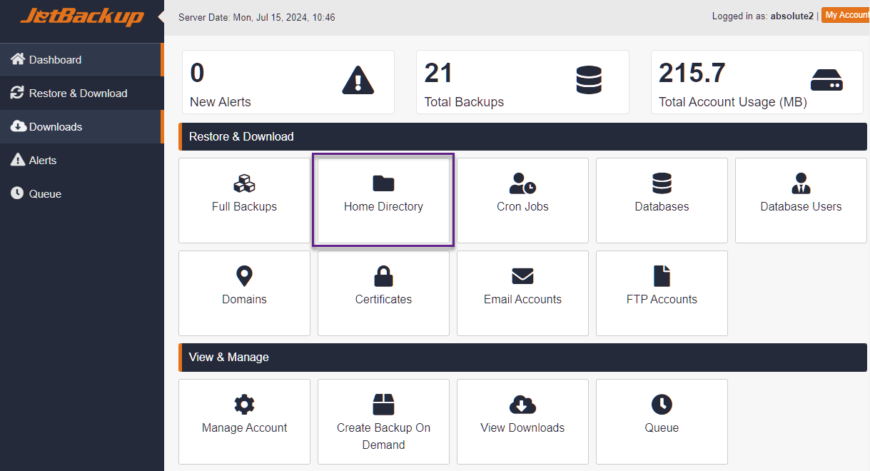 Absolute Hosting Restore website files