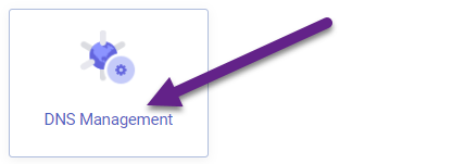 Absolute Hosting DNS Management Icon