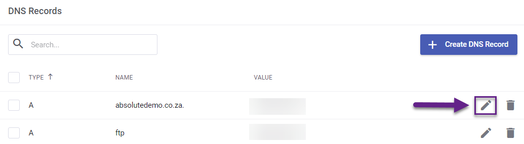 Absolute Hosting Edit DNS Record