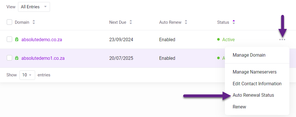 Absolute Hosting Domain Auto renewal status