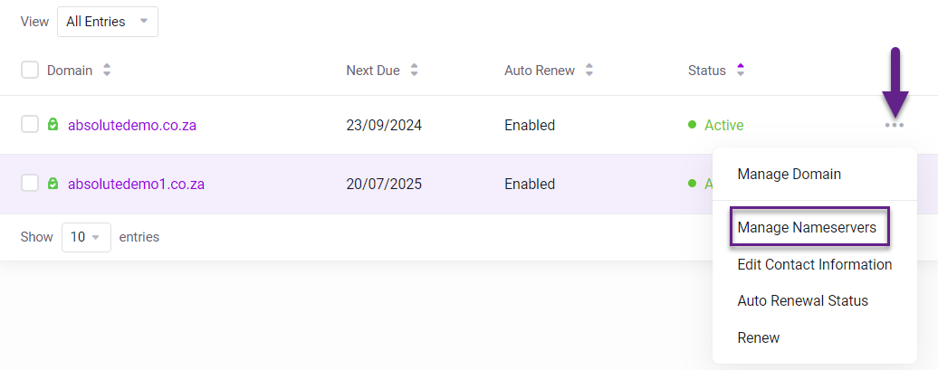 Absolute Hosting Manage Name servers of a Domain