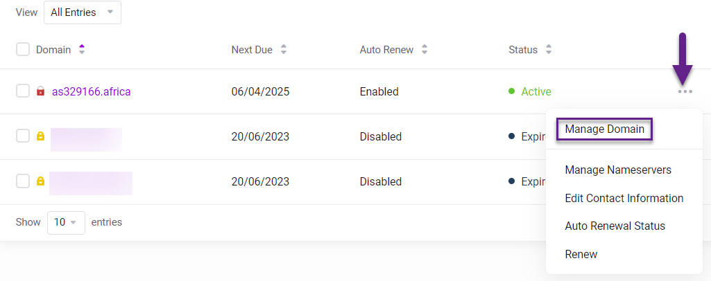 Absolute Hosting Manage Domain