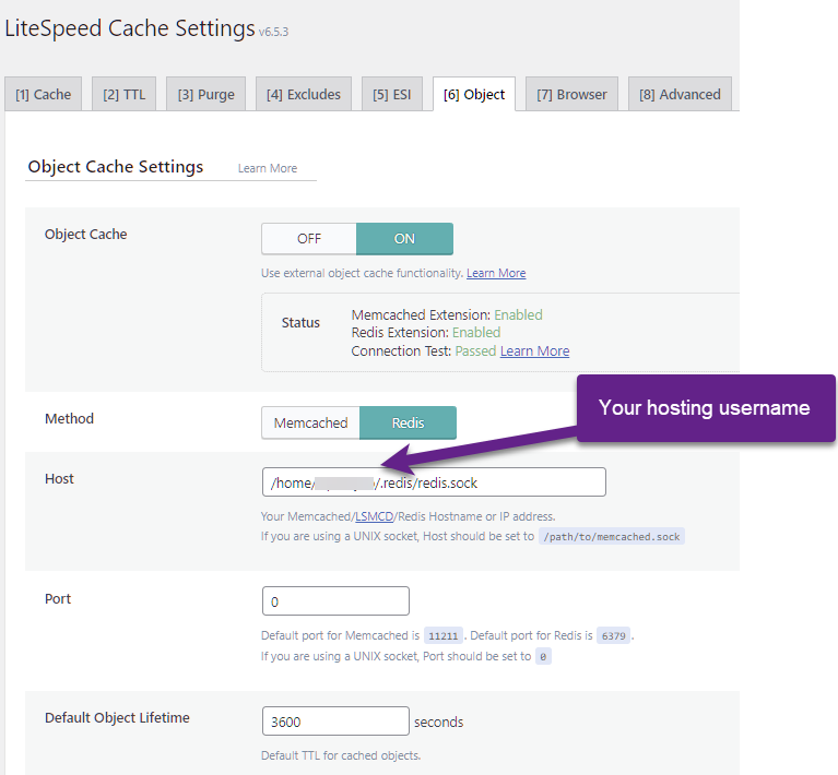 Redis Object Cache Settings